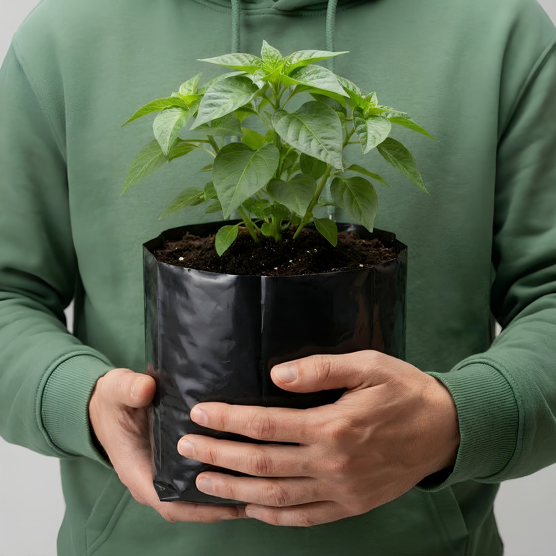 Persona sosteniendo una bolsa para planta negra con una planta - ecosmart Chile