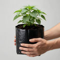 Bolsa para Planta Negra 30x30 cm | Saco 2.400 Unidades