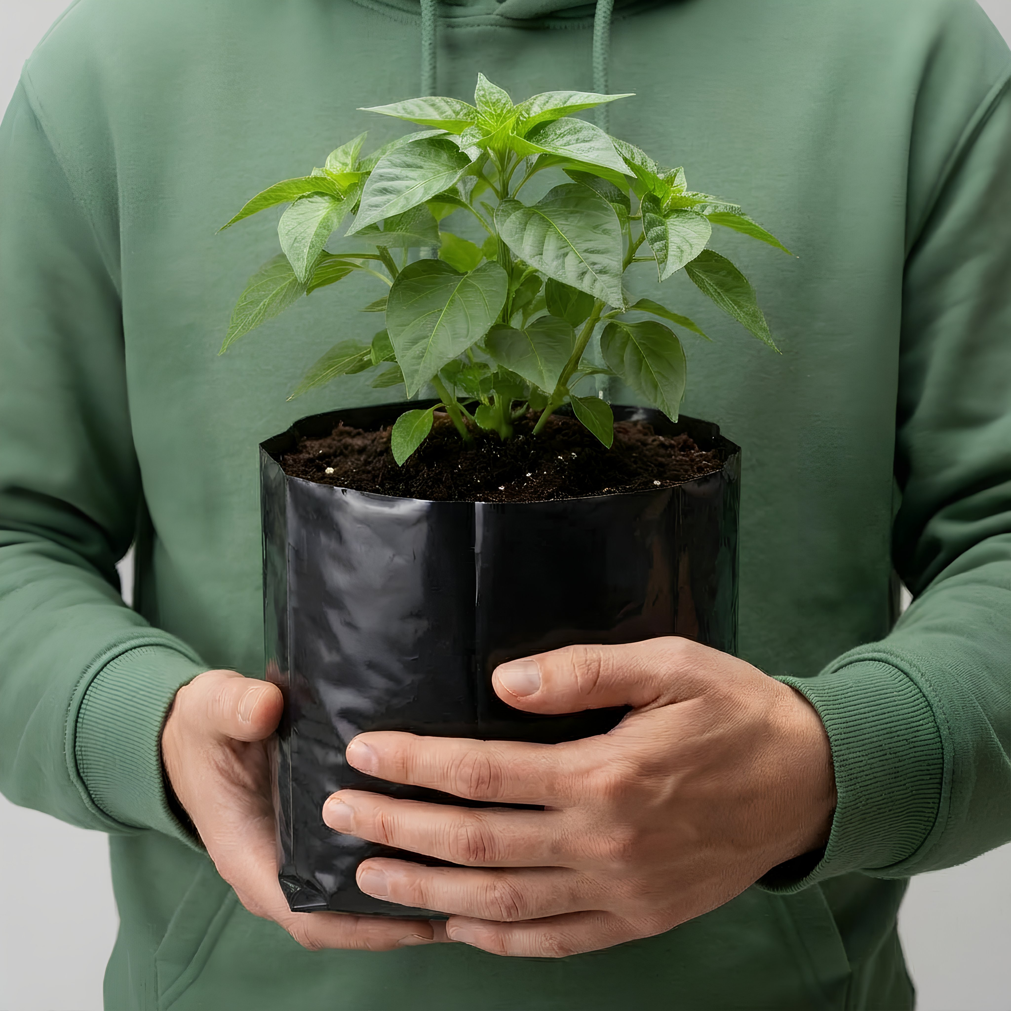 Bolsa para Planta Negra 40x40 cm | Saco 1.000 Unidades